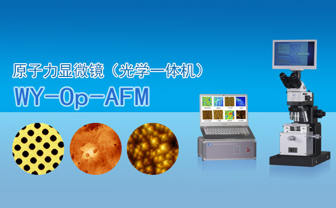 原子力顯微鏡（光學(xué)一體機(jī)） WY-O···